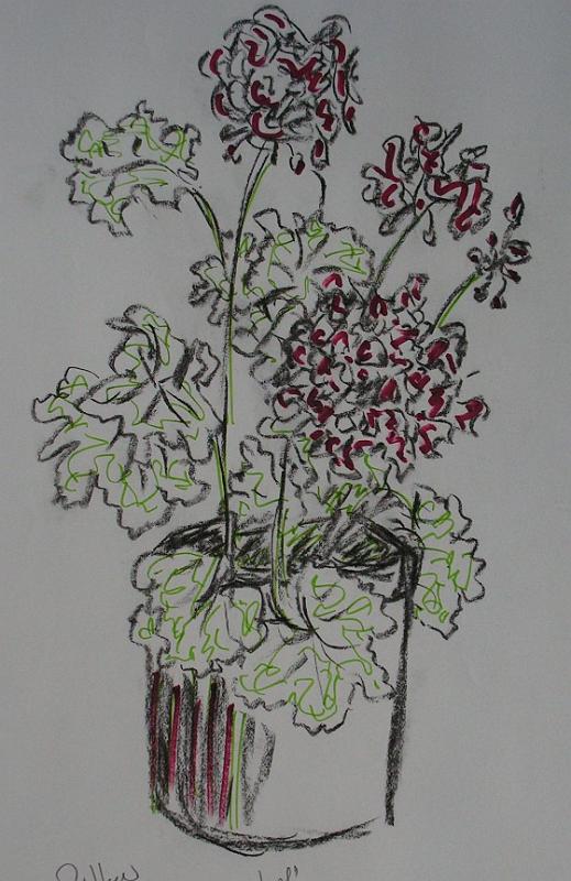 Geranientopf, 2006, Kohle-Filzstift-Papier, 42x60.jpg